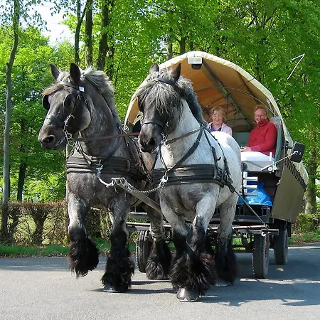 Wiesengrund Monschau