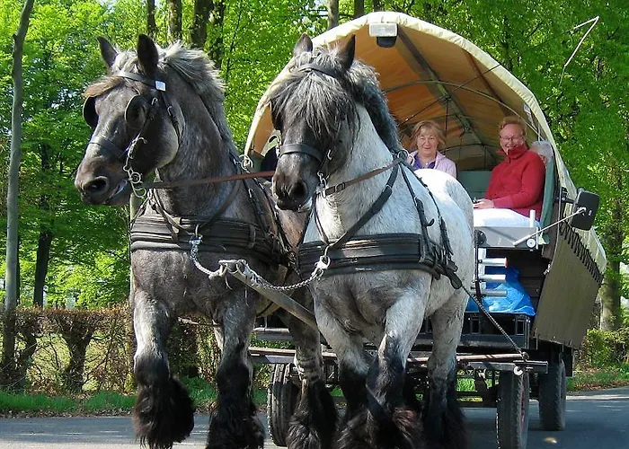 Wiesengrund Montjoie